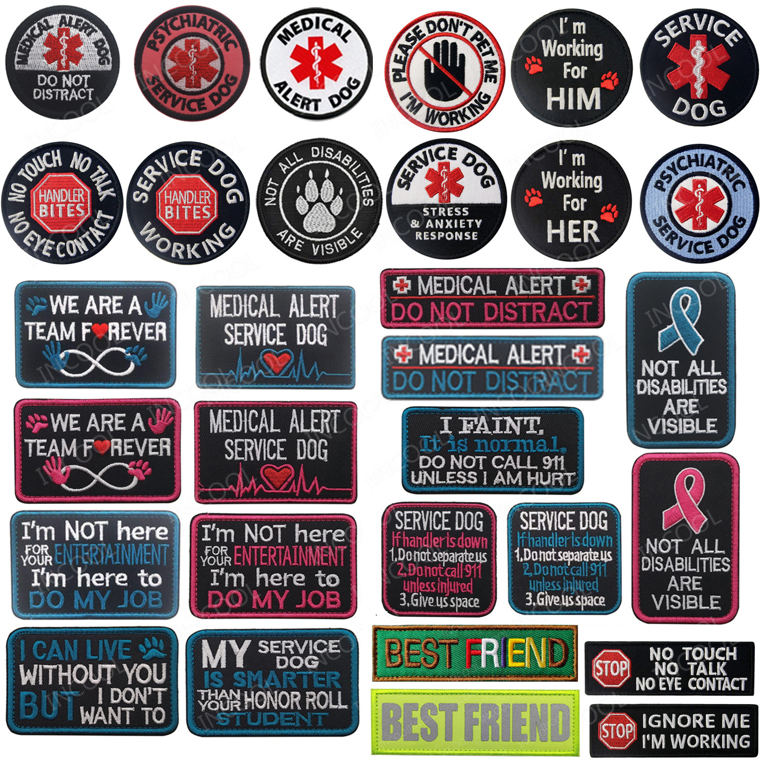 Photography Job - Embroidered Patches BEST FRIEND Service Dog