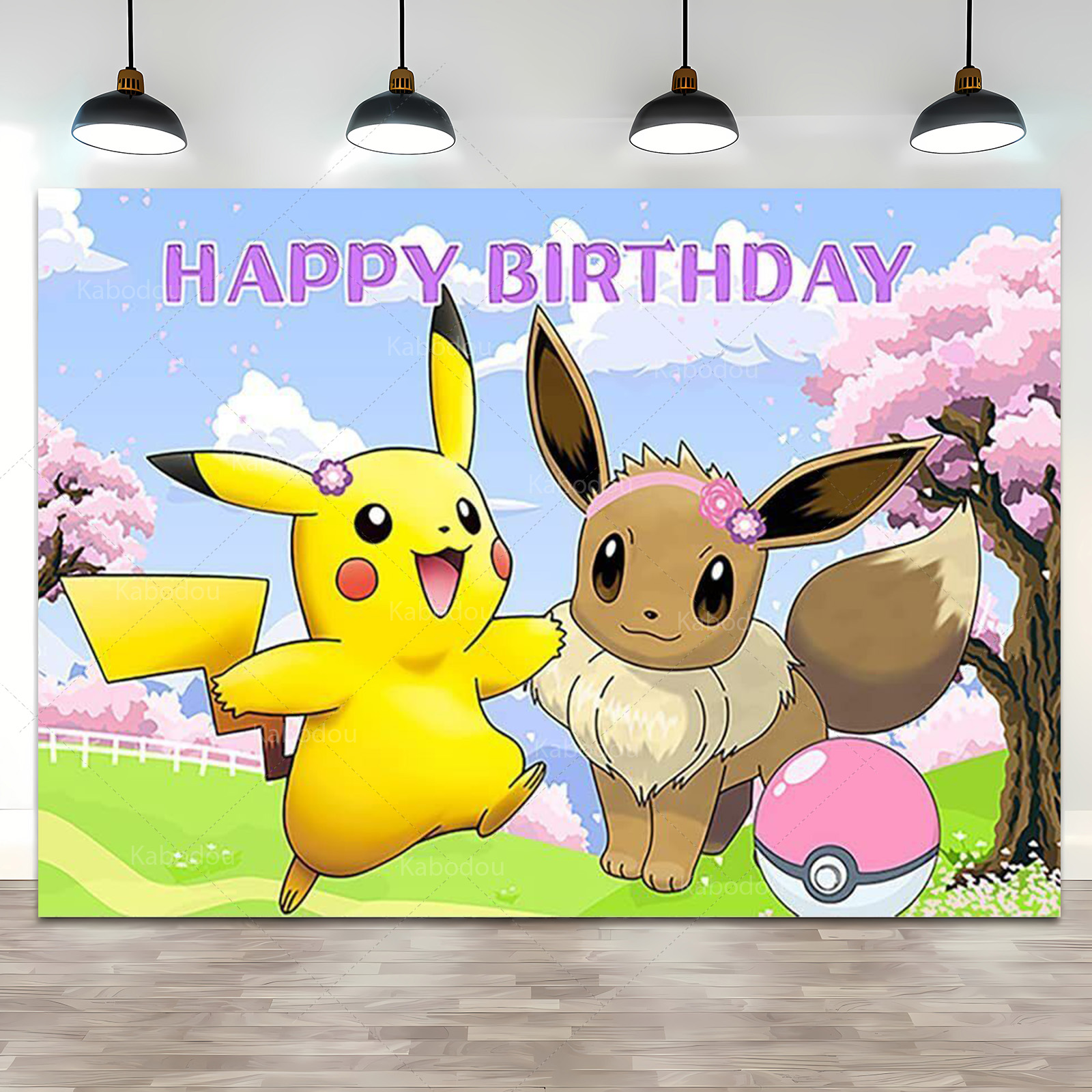 Pokemon Eevee Birthday Party B - Photography Video review and price