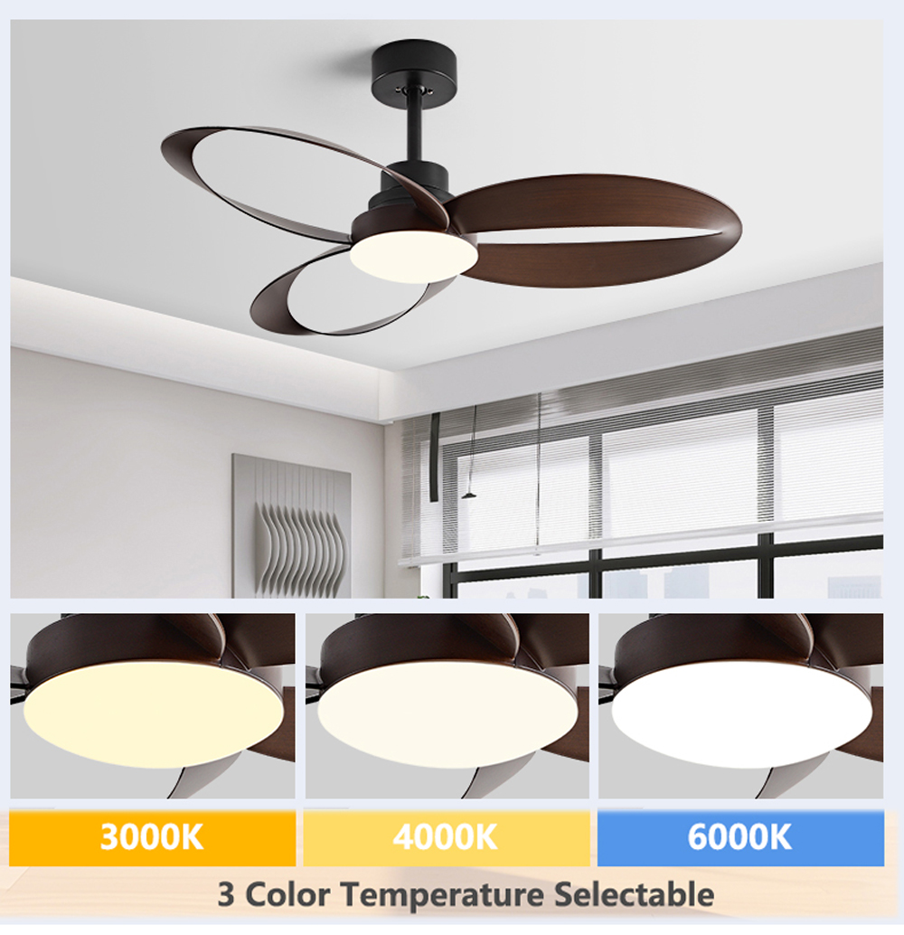 42/52 Inch Ceiling Fan 3 Blade - Photography Coffee review and price