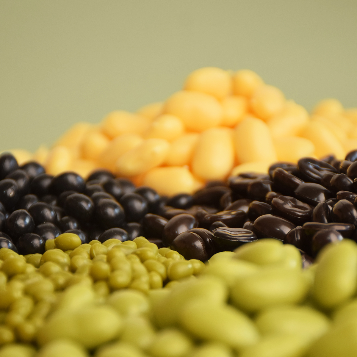 PVC Dry Coffee Simulation Corn - Photography Coffee review and price