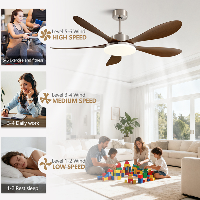 40/46/56inch 5 Blade DC Motor  - Photography Coffee review and price