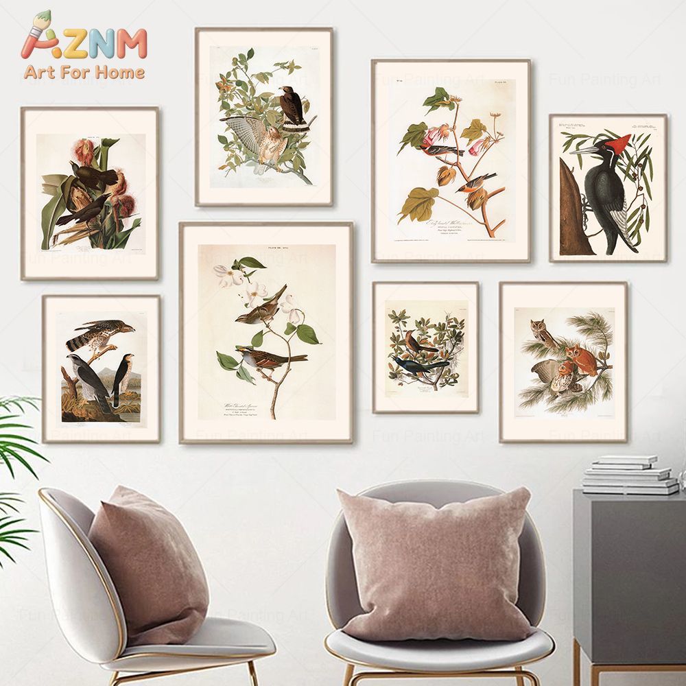 AZNM Vintage Audubon Bird Canv - Photography Nature review and price