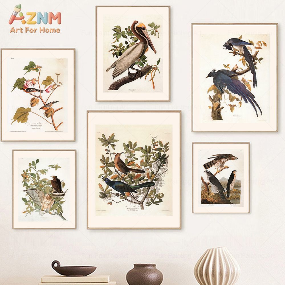 AZNM Vintage Audubon Bird Canv - Photography Nature review and price
