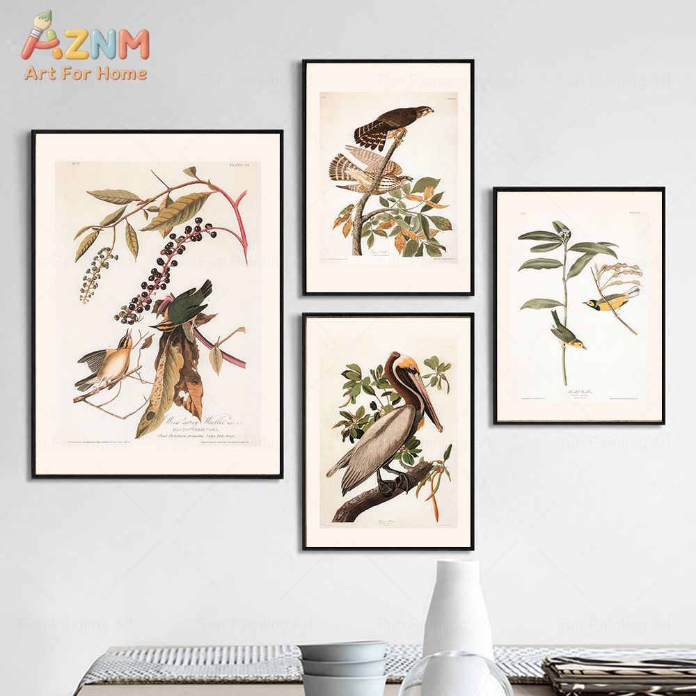 AZNM Vintage Audubon Bird Canv - Photography Nature review and price