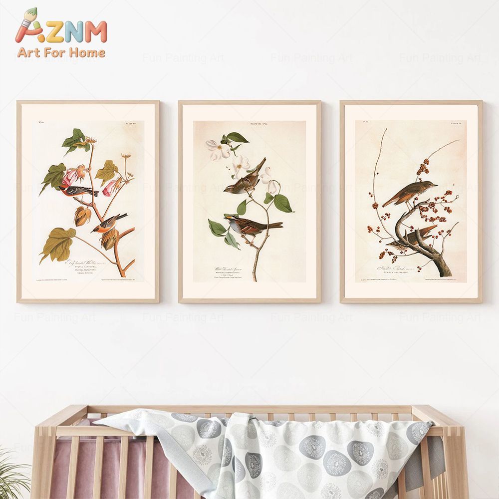 AZNM Vintage Audubon Bird Canv - Photography Nature review and price