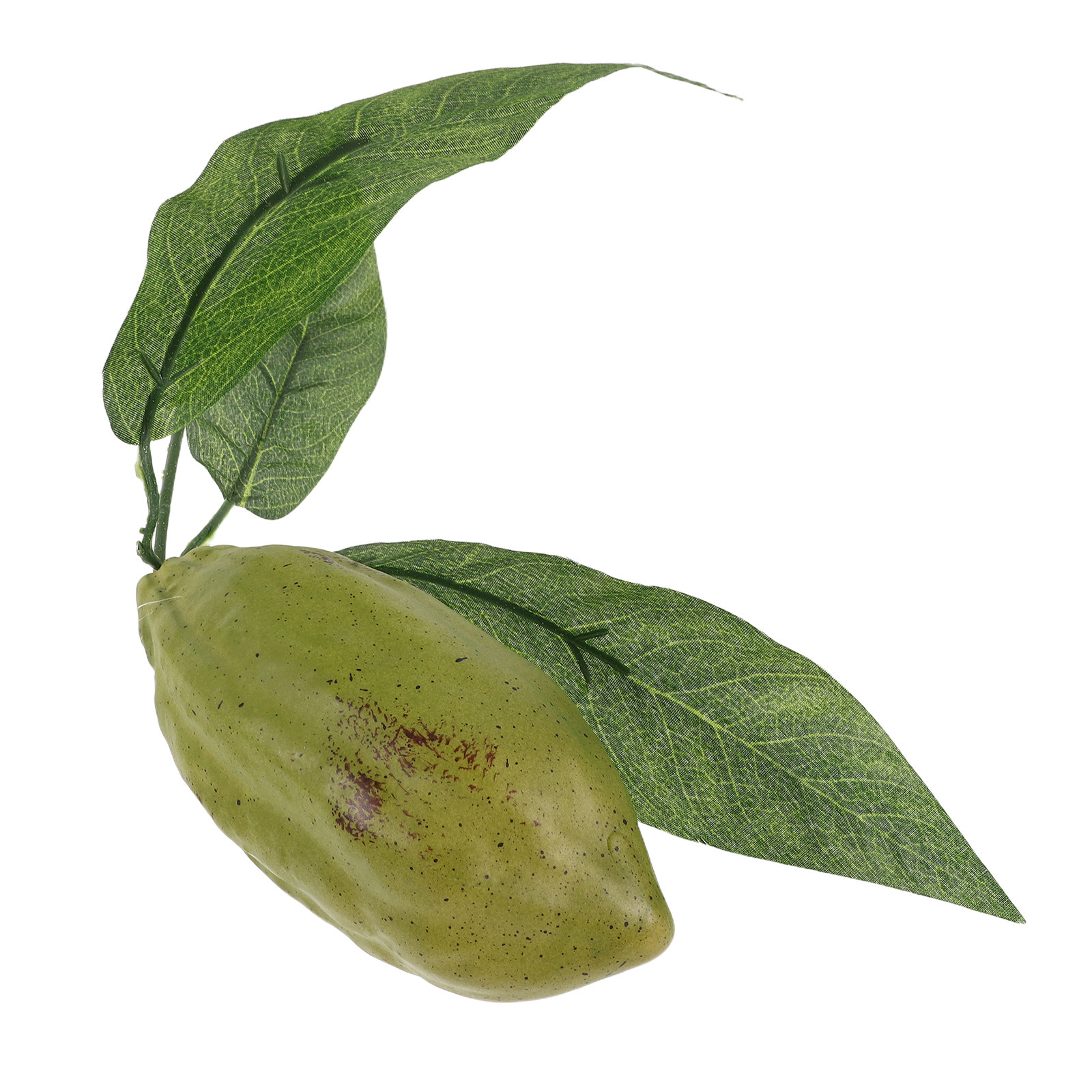 Artificial Cacao Pod Green Rea - Photography Coffee review and price