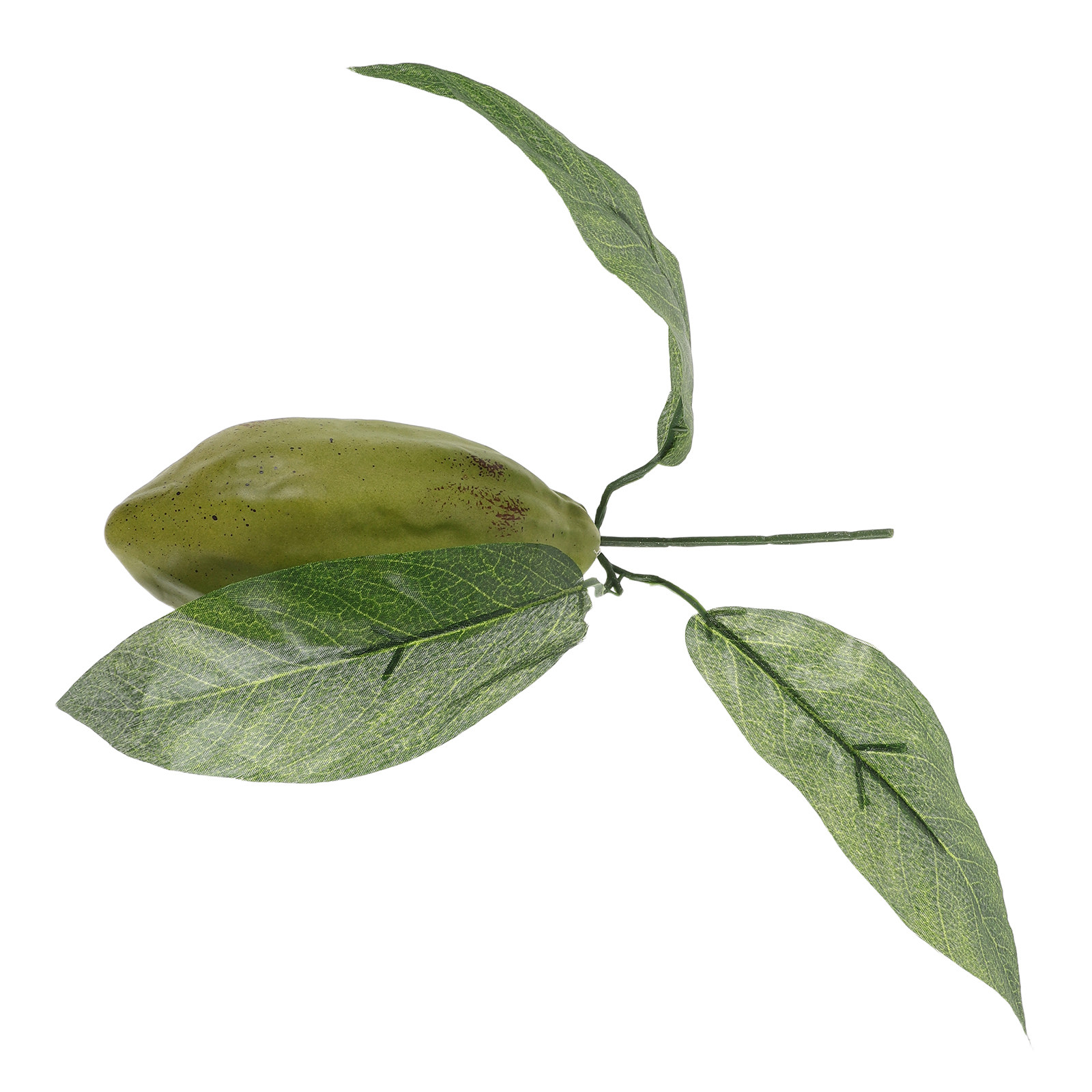 Artificial Cacao Pod Green Rea - Photography Coffee review and price